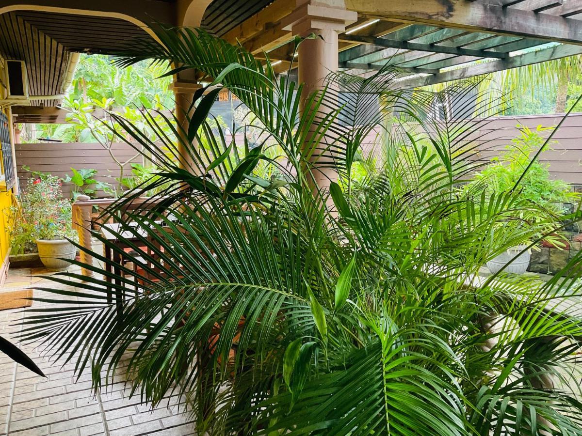 Effie Mountain View Coco Villa Misere Exterior foto